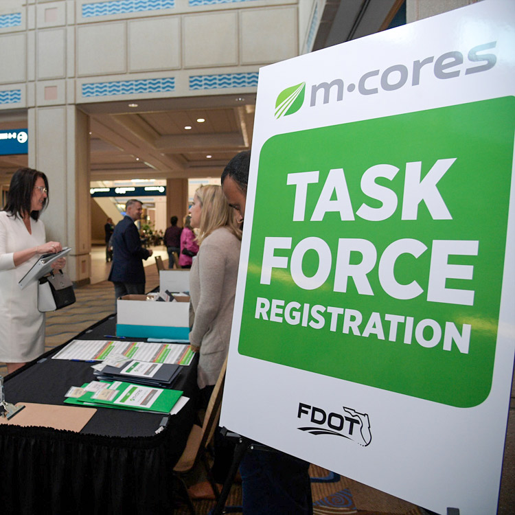 Image hover effect image